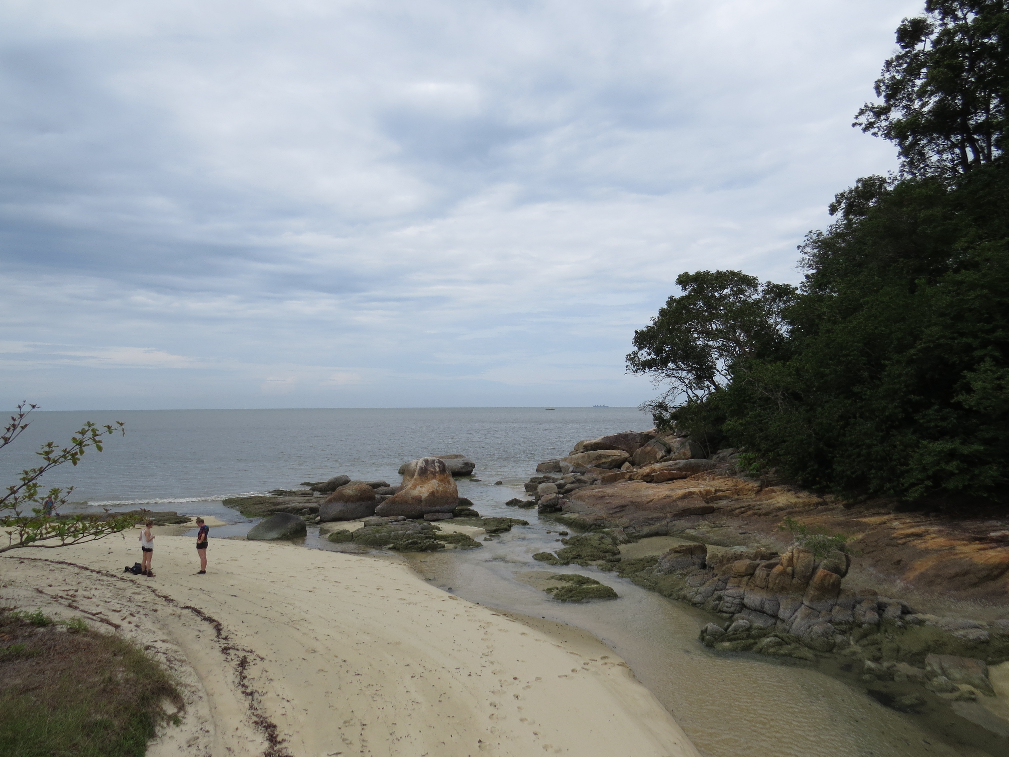 Penang National Park