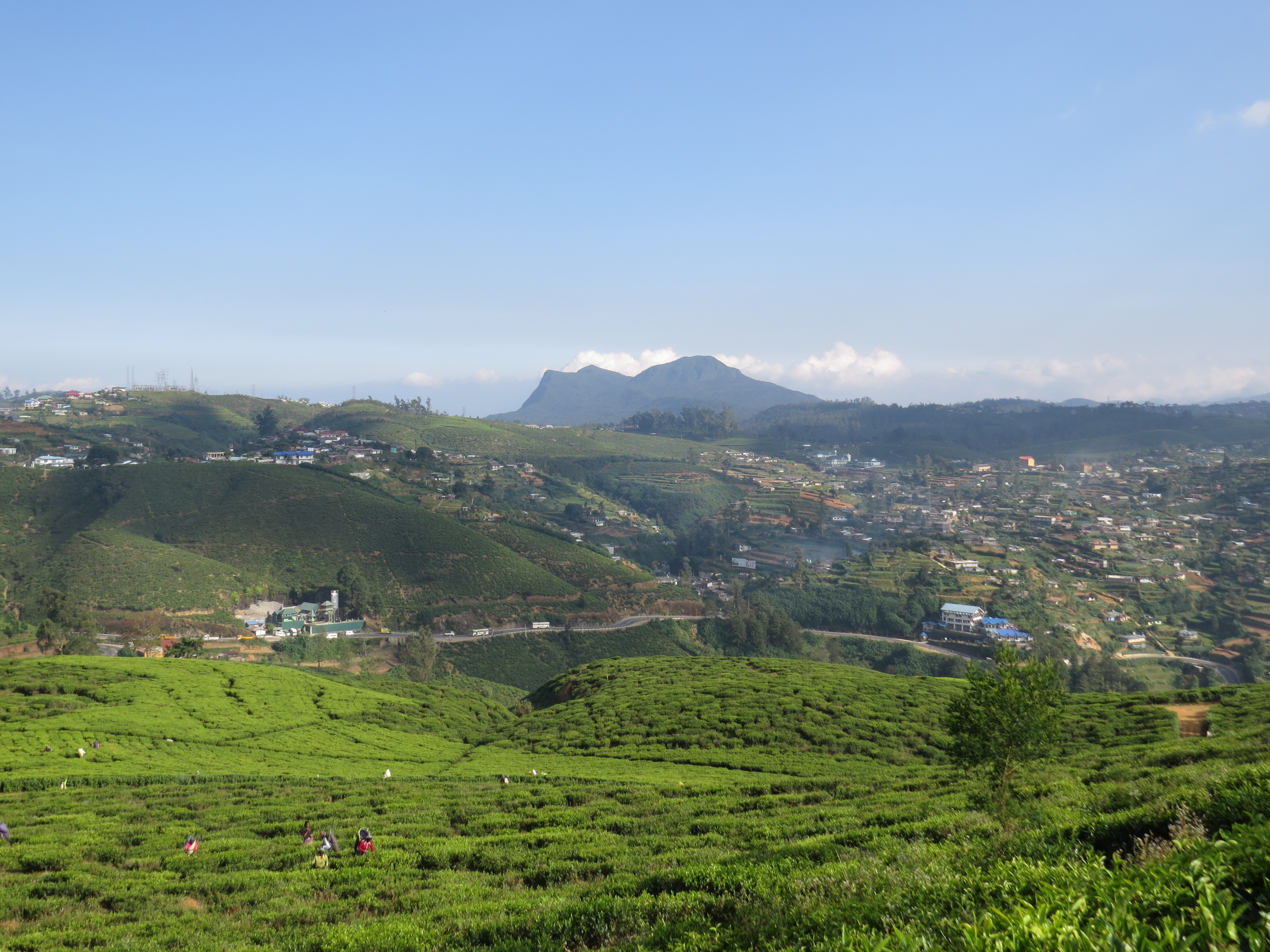 Nuwara Eliya, Sri Lanka